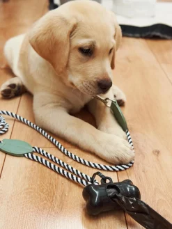 GATE Akcesoria dla zwierząt - worki| Dekoracja Domu·Akcesoria Dla Zwierz