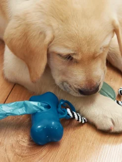 GATE Akcesoria dla zwierząt - worki| Dekoracja Domu·Akcesoria Dla Zwierz