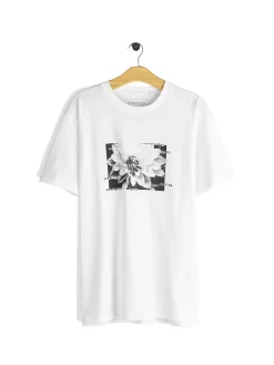 GATE Bawełniana koszulka z nadrukiem| Koszulki·Koszulki ☀️|Koszulki·Koszulki Z Nadrukiem