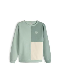 GATE Bluza z blokami kolorów|Dzieci Chłopcy·Bluzki