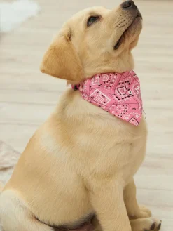 GATE Kołnierz z chustką| Dekoracja Domu·Akcesoria Dla Zwierz