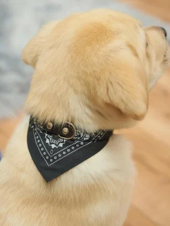 GATE Kołnierz z chustką| Dekoracja Domu·Akcesoria Dla Zwierz