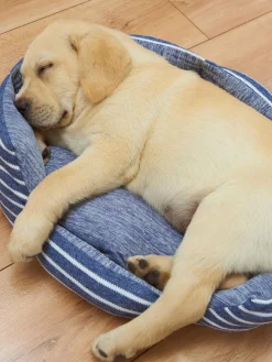 GATE Legowisko 40x40x14 cm| Dekoracja Domu·Akcesoria Dla Zwierz