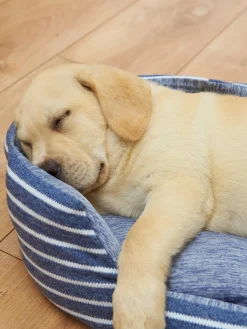 GATE Legowisko 40x40x14 cm| Dekoracja Domu·Akcesoria Dla Zwierz