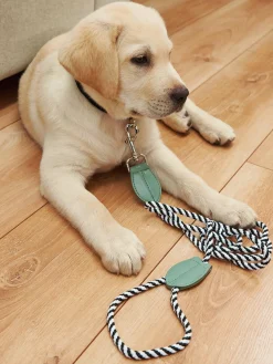 GATE Smycz| Dekoracja Domu·Akcesoria Dla Zwierz