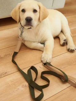 GATE Smycz| Dekoracja Domu·Akcesoria Dla Zwierz